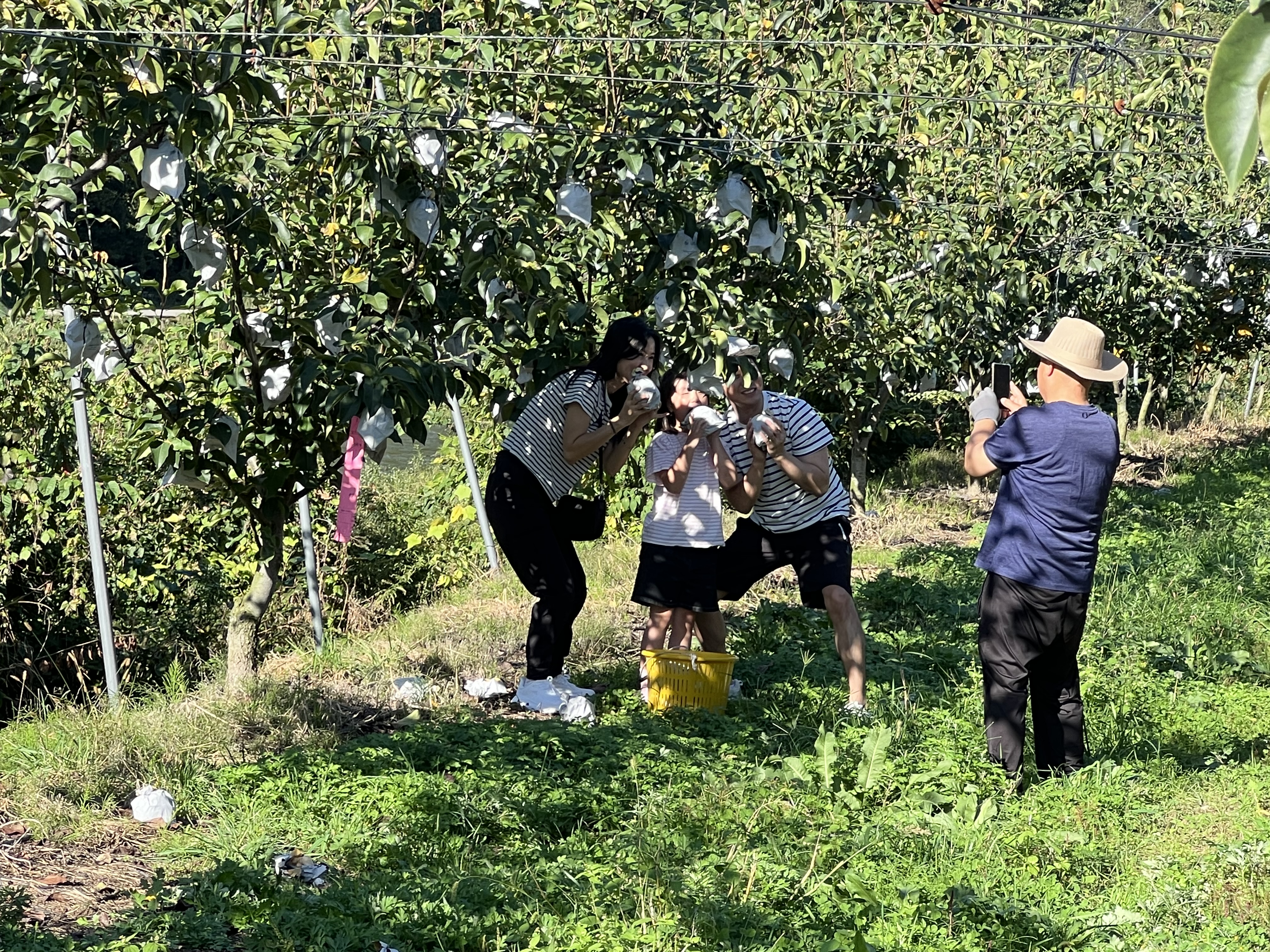 ✨ 25년 인제군 농촌크리에이투어 <배배꽃소풍> 후기 ✨🌼