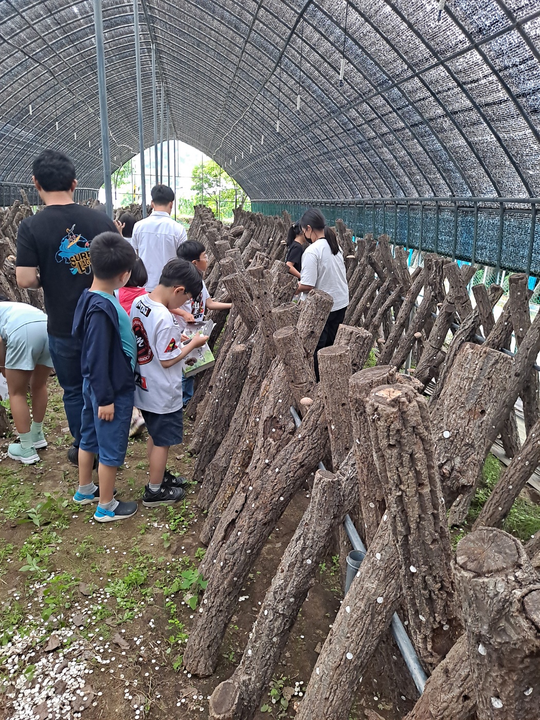 2023.6.29 인제닮은인재 프로젝트 프로그램
